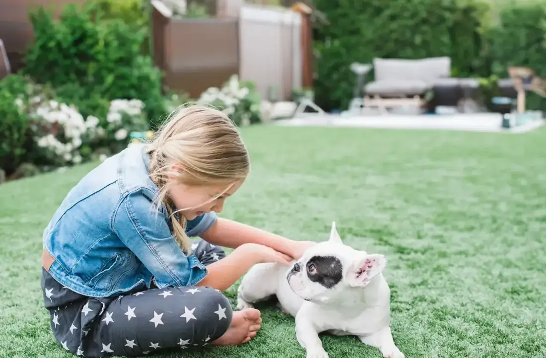 TurFresh technician greeting a customer's dog on freshly cleaned artificial turf