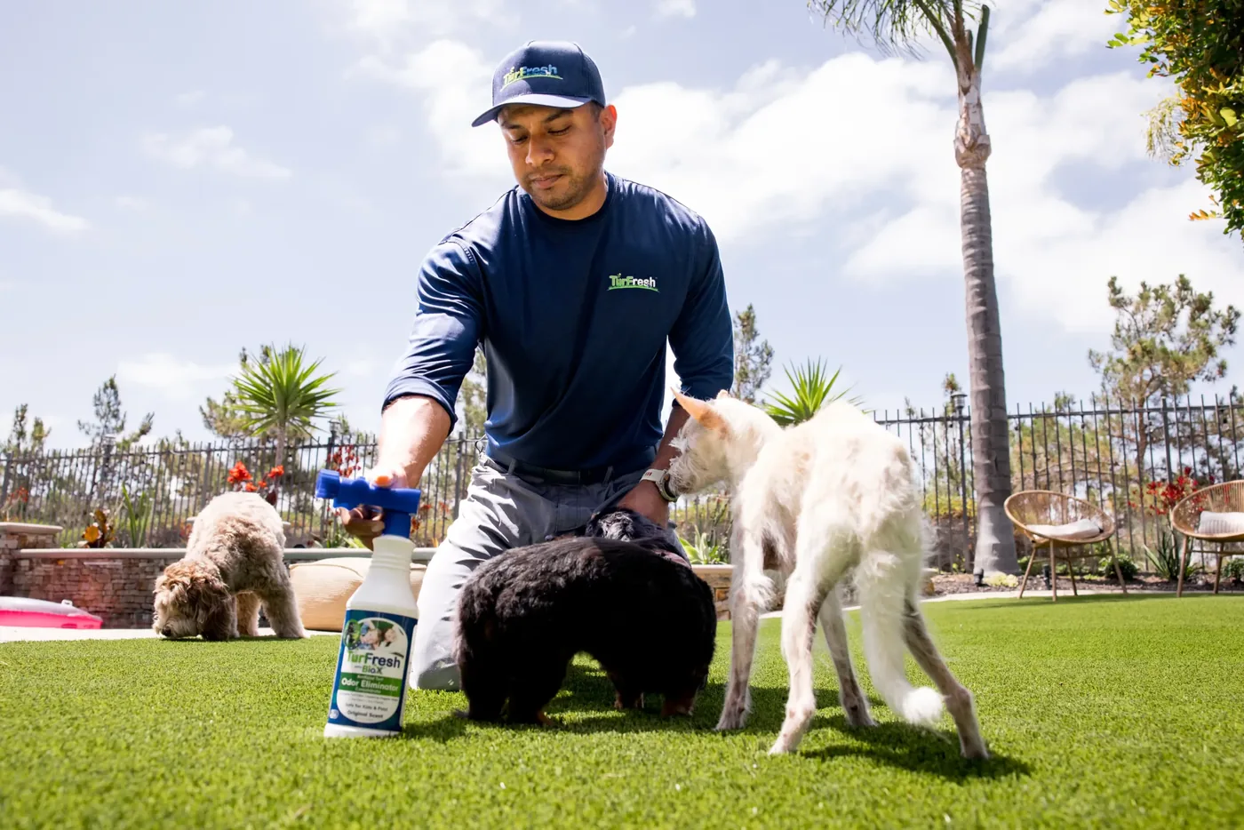 TurFresh team member with BioX+ odor eliminator and three client dogs on freshly cleaned artificial turf
