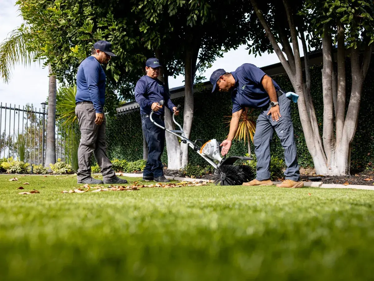 Turf grooming technique demonstration TurFresh trainer demonstrating turf grooming technique with a power broom while technicians observe