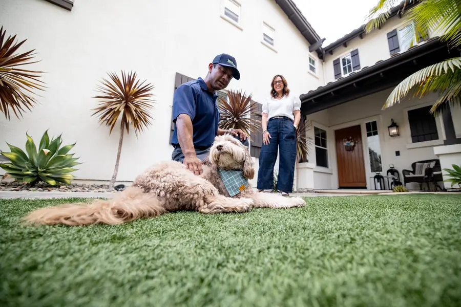 TurFresh technician visiting a homeowner and their dog on a clean front yard turf lawn