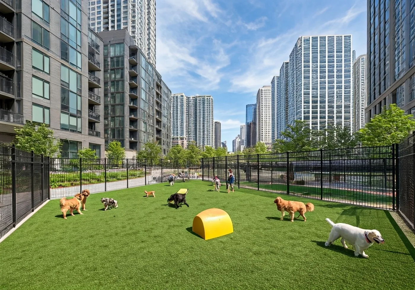 Apartment community dog run with artificial turf between high-rise residential towers