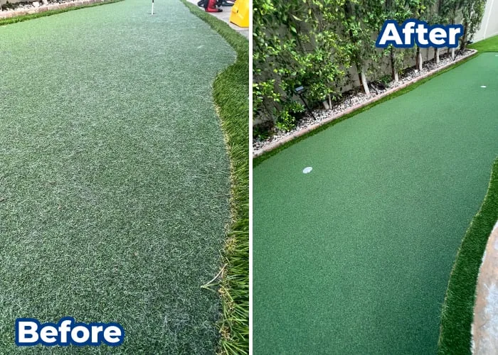 Putting green before and after TurFore restoration, contaminated and slow versus clean and true