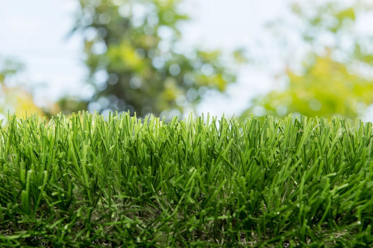 What professionally maintained artificial grass looks like up close