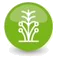 TurFresh 10-step service icon: Perimeter Weed Removal