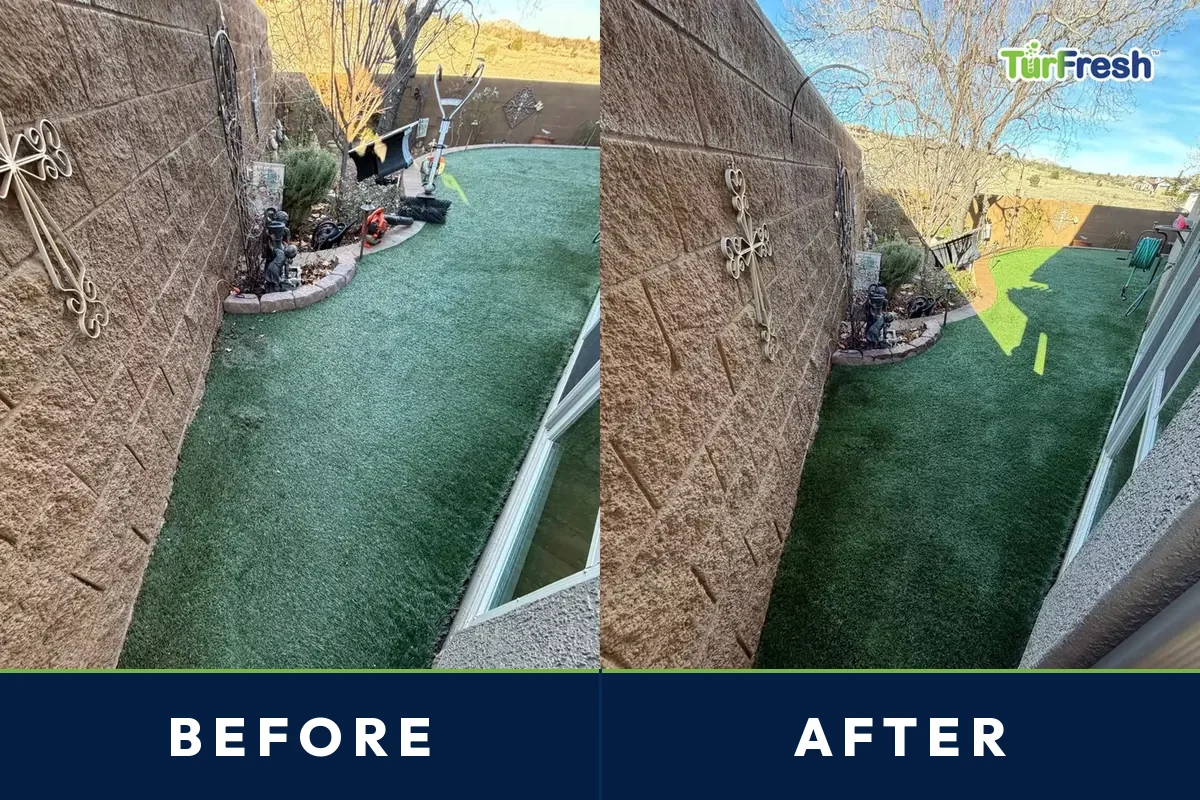 Before and after of a west Phoenix backyard artificial turf lawn deep cleaned and groomed by TurFresh