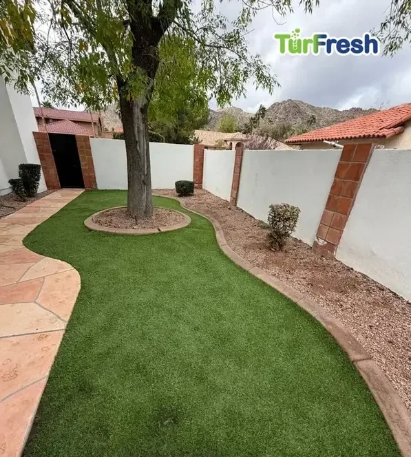Bright, even artificial turf after a TurFresh deep cleaning and reblooming in Phoenix, AZ