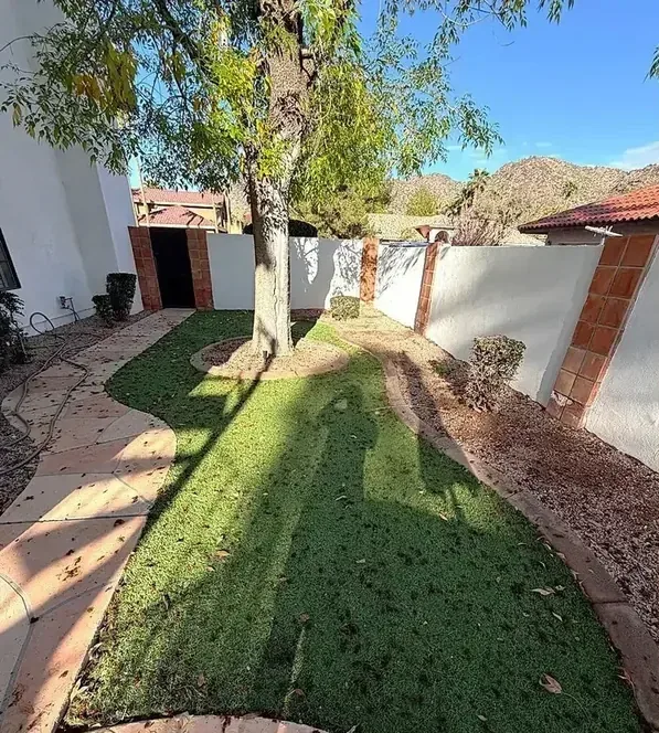 Matted artificial turf with debris before a TurFresh deep cleaning in Phoenix, AZ