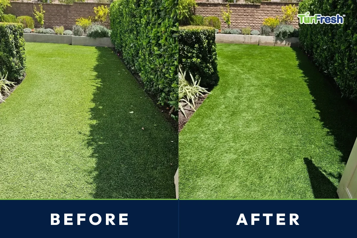 Before and after of a hedge-lined Irving artificial turf lawn refreshed by TurFresh