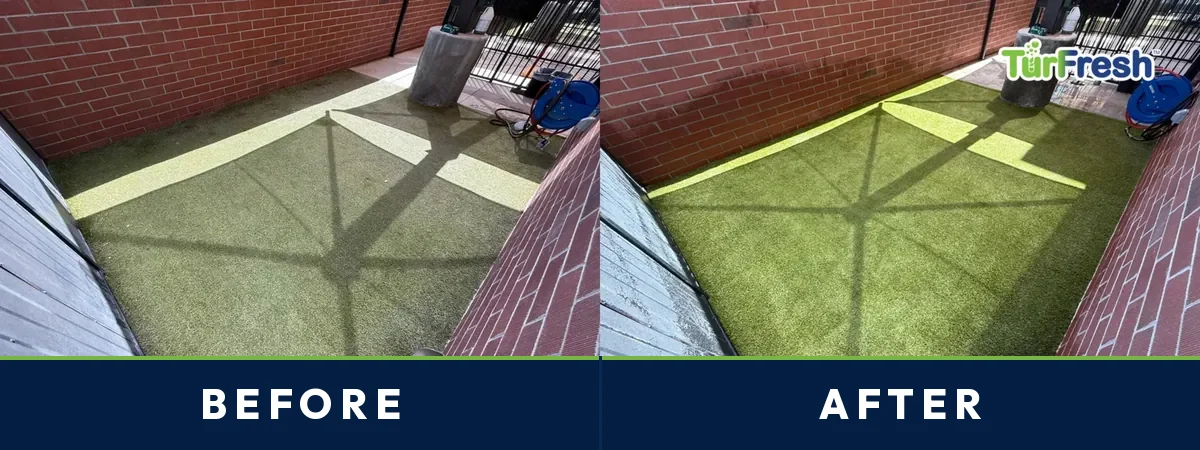 Before and after of a west Phoenix paver and turf checkerboard patio cleaned by TurFresh, turf squares restored between pavers