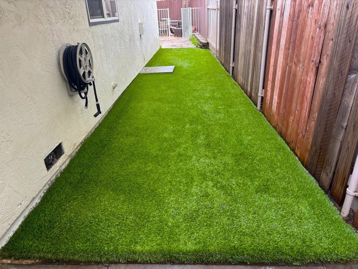 Completed TurFresh side yard artificial turf cleaning in San Jose