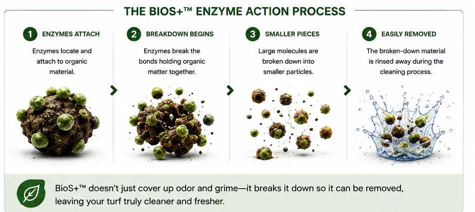 TurFresh BioS+ enzyme action process: enzymes attach, breakdown begins, smaller pieces, easily removed