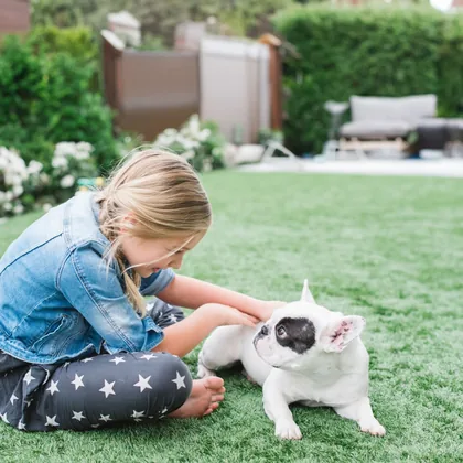 Young girl playing with her dog on clean artificial turf after a TurFresh service