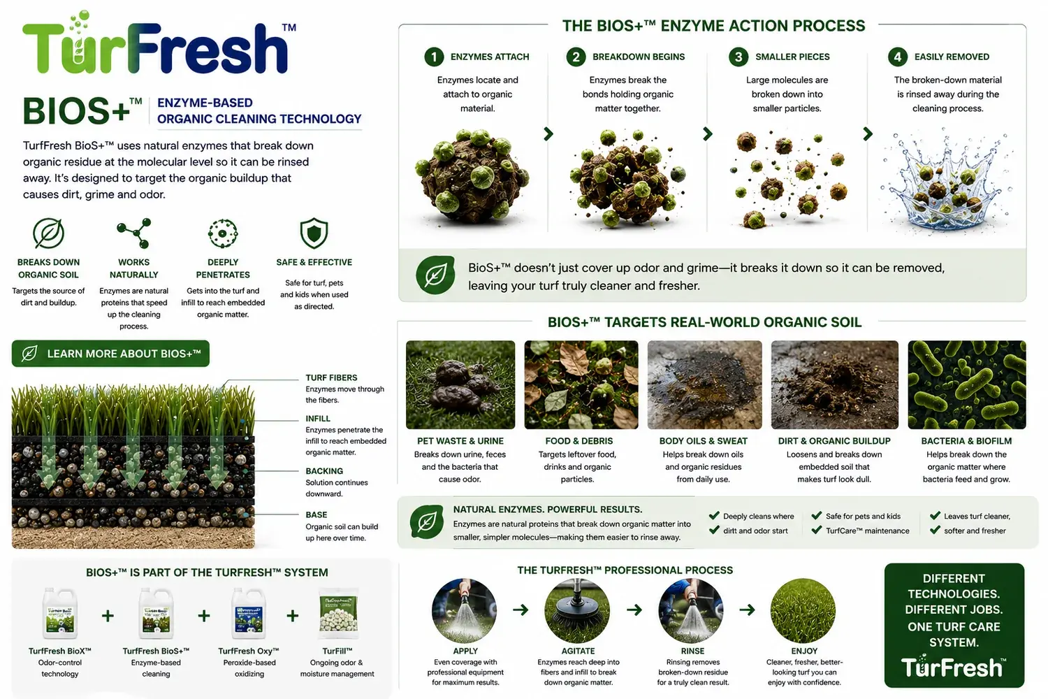 TurFresh BioS+ enzyme-based organic cleaning technology infographic: the enzyme action process breaking down organic soil so it can be rinsed away