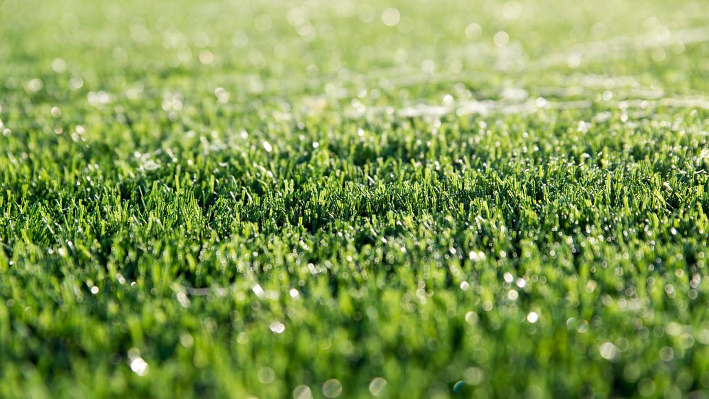The Best Artificial Grass Maintenance Tips to Clean Hard Water Stains - Turfresh