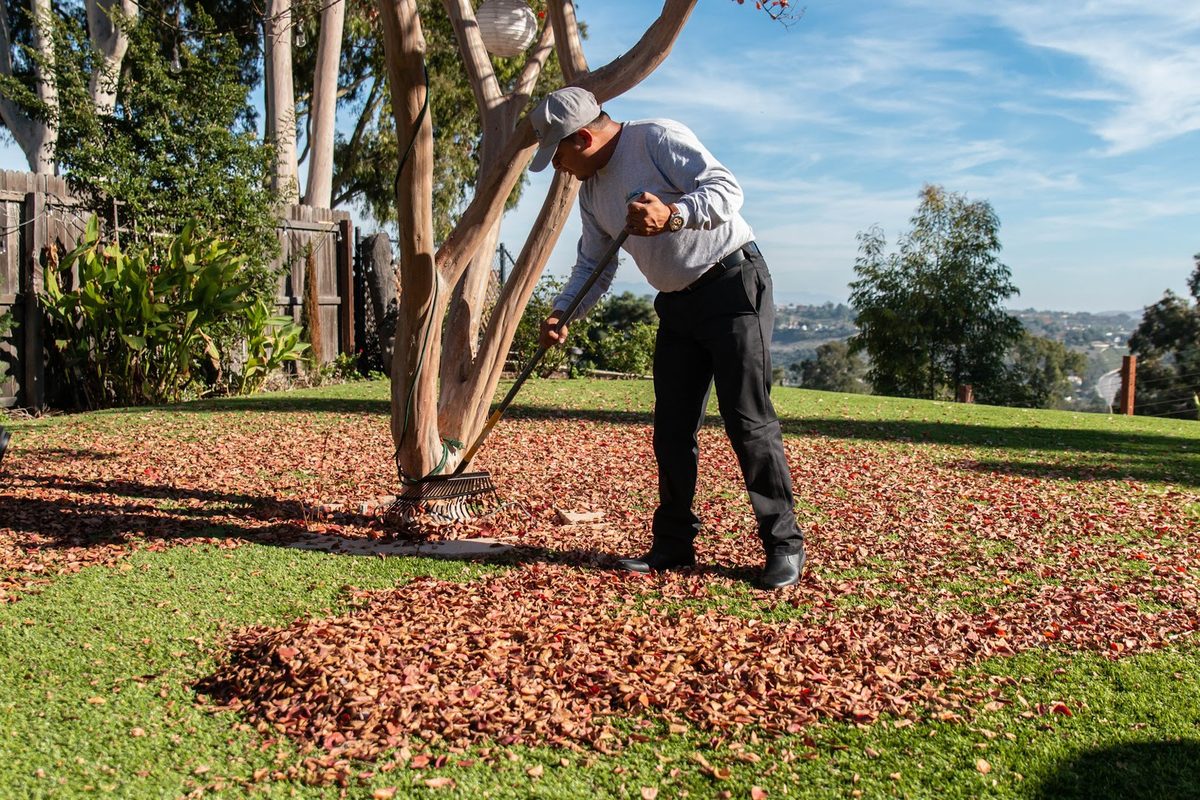 How to Rake Leaves Off Artificial Grass Without Damage