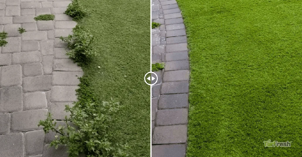 The Problem: Artificial Turf Maintenance Challenges in Phoenix