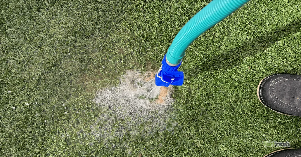 DIY vs. Professional Turf Cleaning comparison
