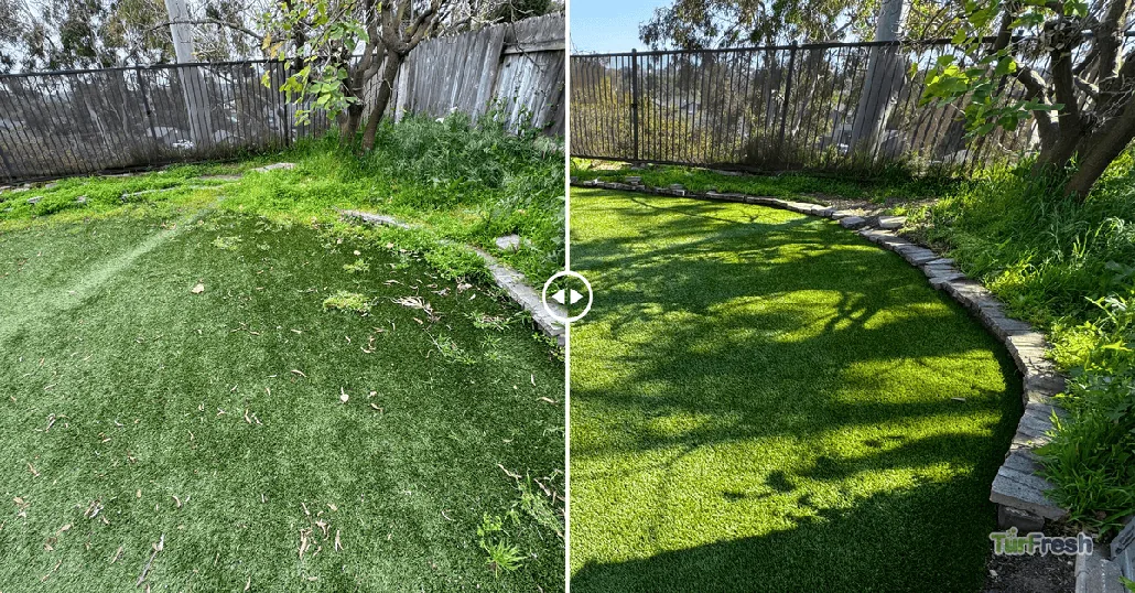 Before and after comparison of artificial turf restoration by TurFresh, showing transformation from overgrown debris-covered grass to clean vibrant synthetic lawn.