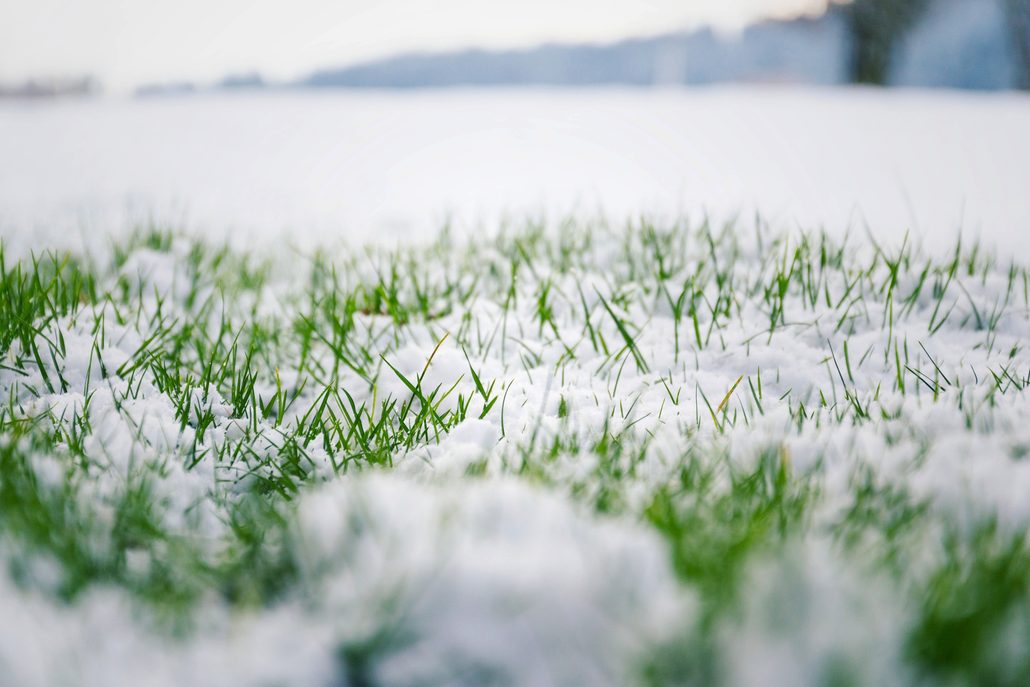Tips for Caring for Your Artificial Turf During Winter