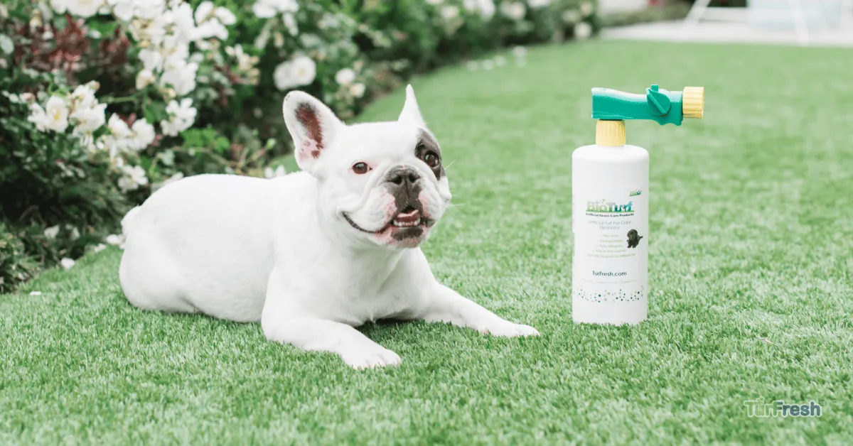The Environmental Benefits of Artificial Turf
