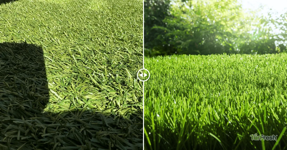 Artificial Turf Reblooming Before Selling: Boost Curb Appeal and Protect Your Asking Price
