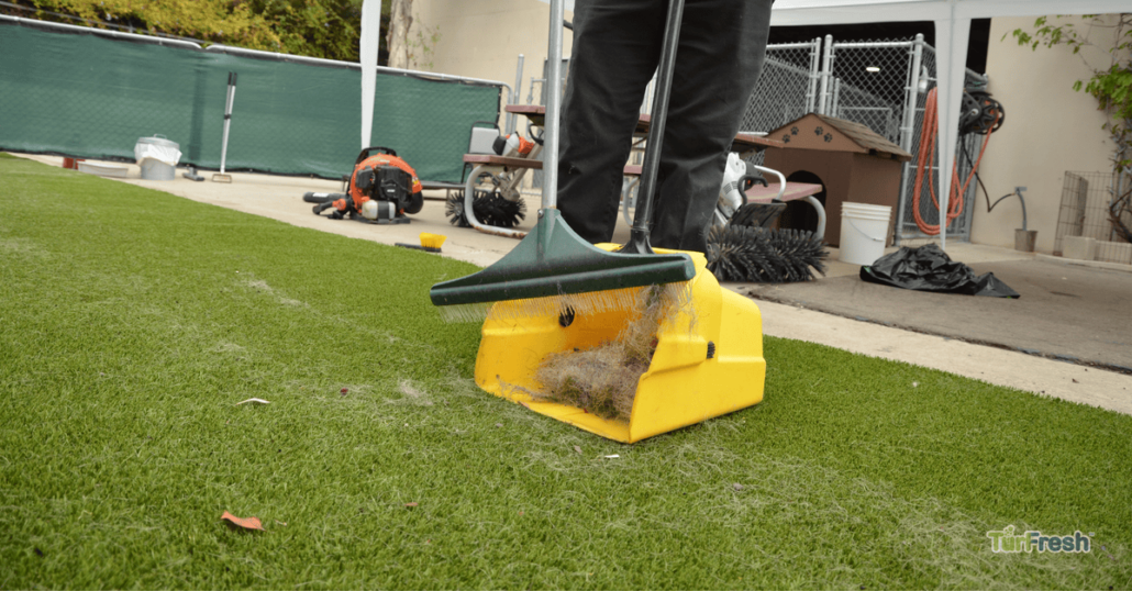 Preventive Maintenance for Arizona Artificial Grass