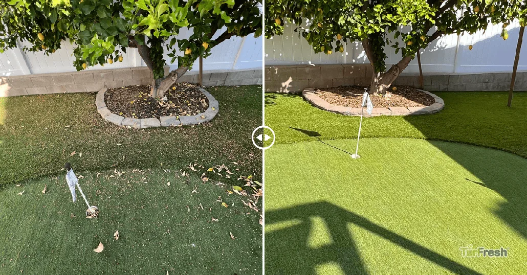 TurFresh artificial turf backyard putting green before and after cleaning showing dirty brown grass transformed to bright green lawn.