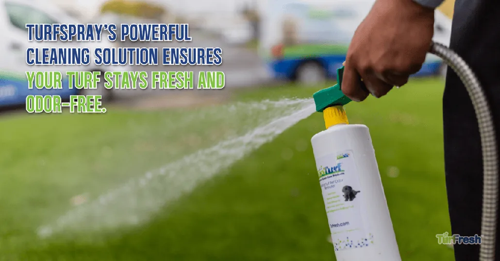 Benefits of Low-Maintenance Turf Care