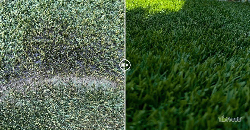 Best Practices for Maintaining Artificial Grass During Monsoon Season