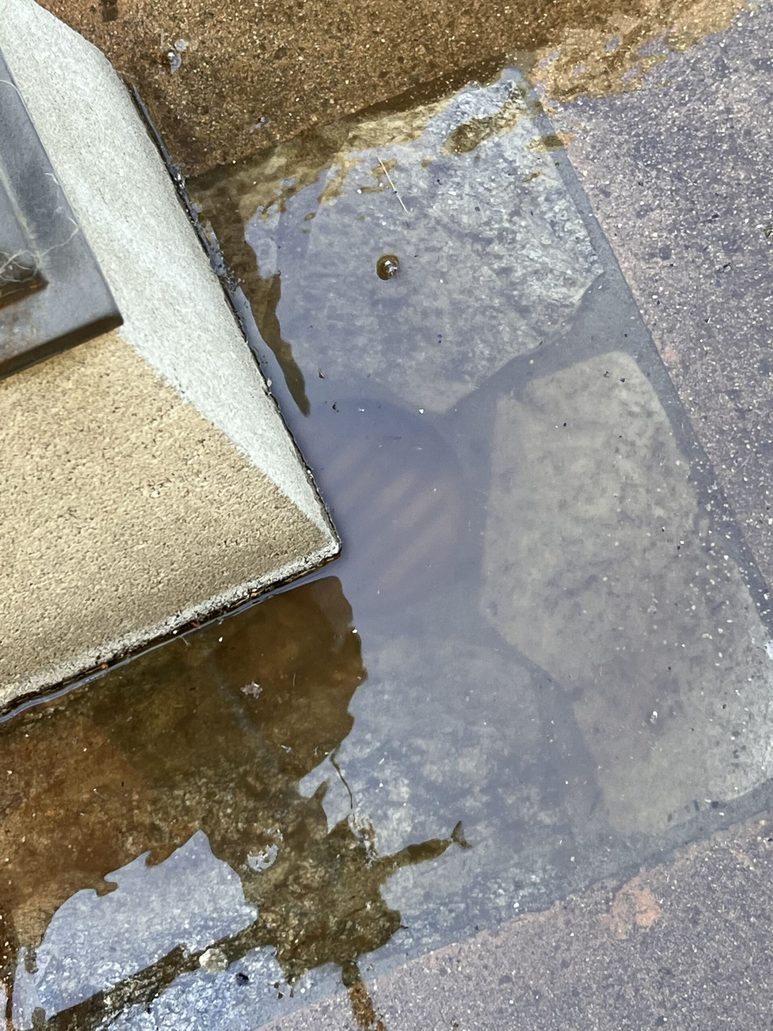 Standing water near artificial turf indicating drainage challenges that can lead to odors and bacteria buildup.