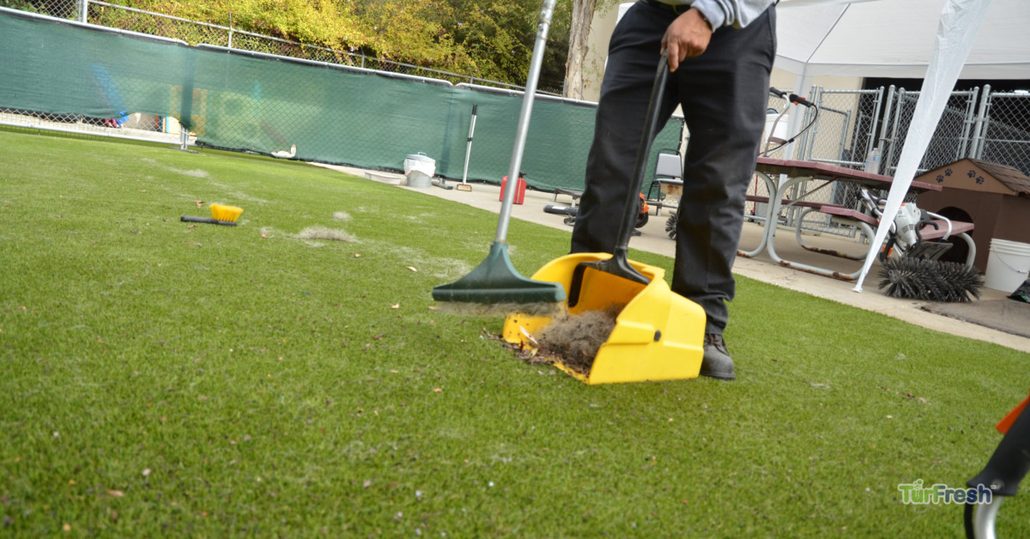 TurFresh technician sweeping debris from artificial turf using eco-friendly tools, showcasing a safe and non-toxic turf cleaning process that eliminates odors and is safe for pets and children."