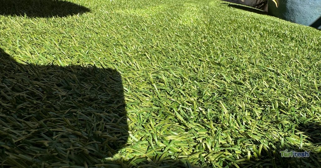 Close-up of artificial turf blades showing compaction before TurFresh professional playground cleaning service.