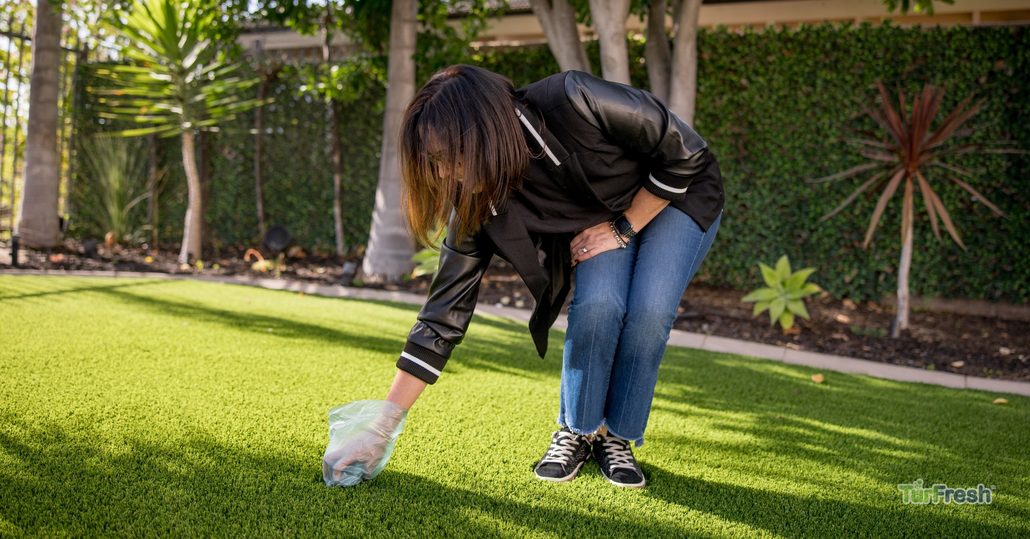 Professional Turf Cleaning is Necessary