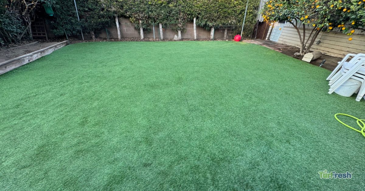 What Does a TurfBloom Service Include? The Full Process