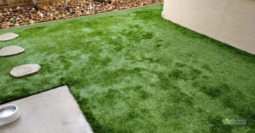 Clean artificial turf backyard with stepping stones and pet water bowl, freshly maintained by TurFresh.