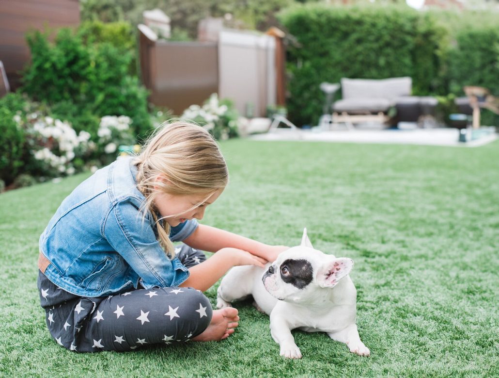 Children and dog playing on clean artificial turf maintained by TurFresh.