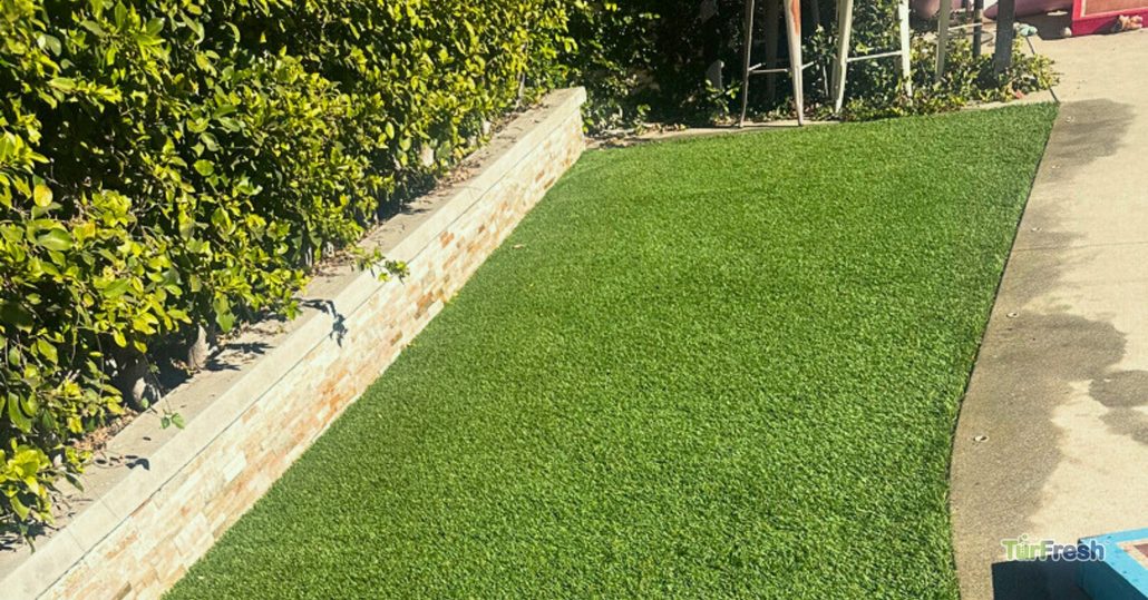 Clean artificial turf alongside hedge and patio after TurFresh turf cleaning service.