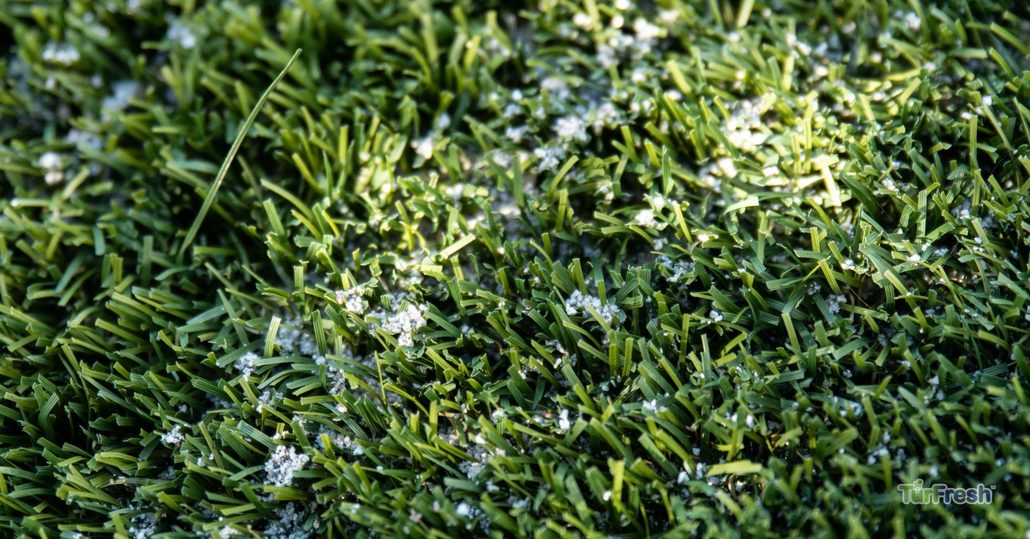 Weeds growing in artificial grass edges and seams