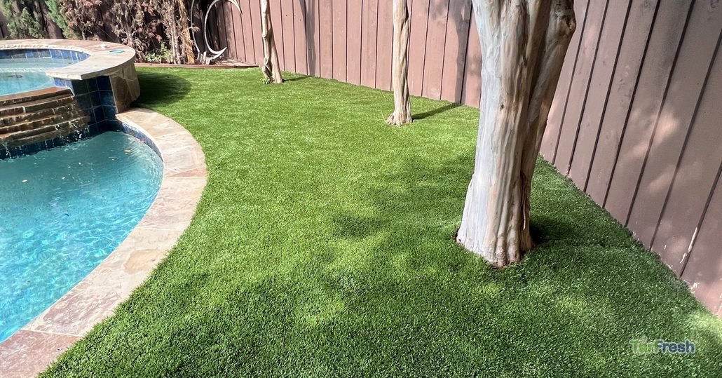 Artificial turf lawn around a backyard pool and trees, freshly cleaned and maintained by TurFresh.