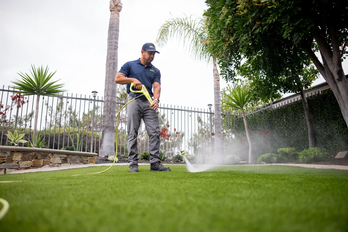 Best Turf Cleaner for Dog Urine: How to Choose and What Actually Works