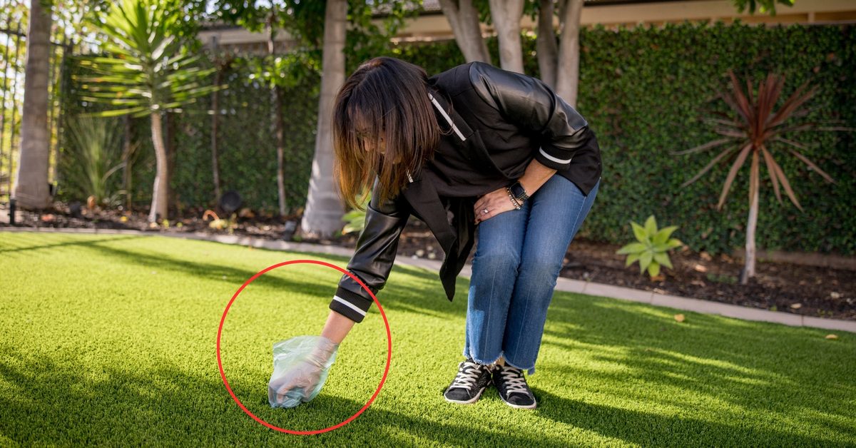 Turf Cleaning Mistakes Homeowners Make (and How to Fix Them)