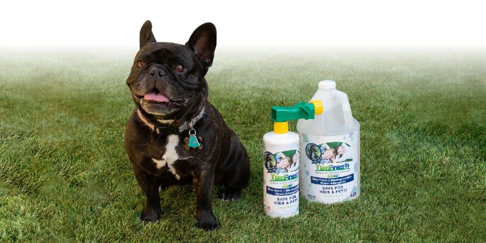 TurFresh professional artificial turf disinfection service
