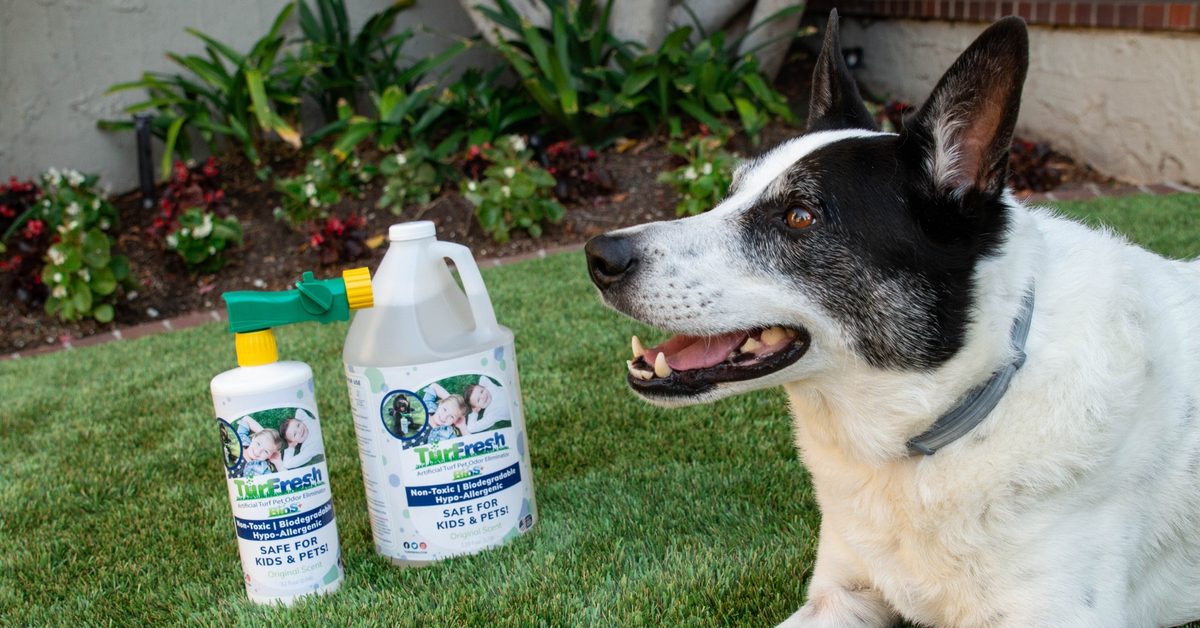 Best Artificial Grass Cleaner for Dogs: Enzymatic, Oxygen, or Peroxide?